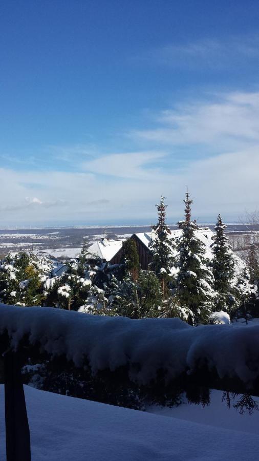 Eifel Kaminhaus Ambiente Villa Нидеген Екстериор снимка